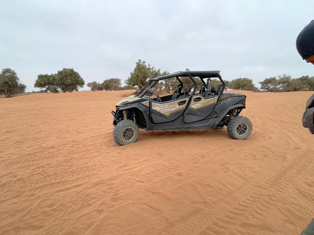 4-Seater Buggy Tour